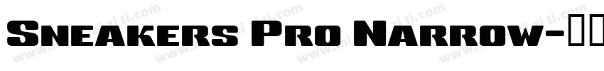 Sneakers Pro Narrow字体转换